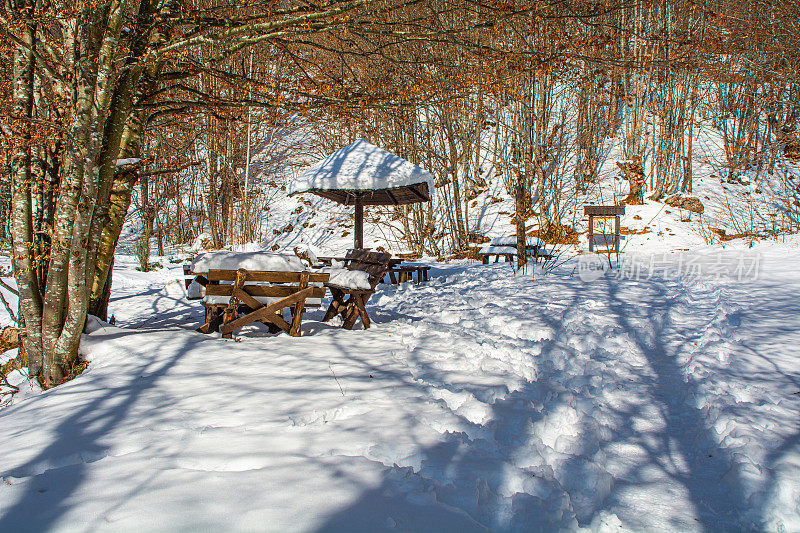 在冬天，在老山上(Stara Planina)冰冻的自然形成的冰